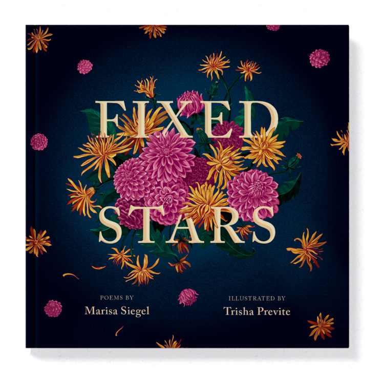 <b>Fixed Stars</b> | Marisa Siegel