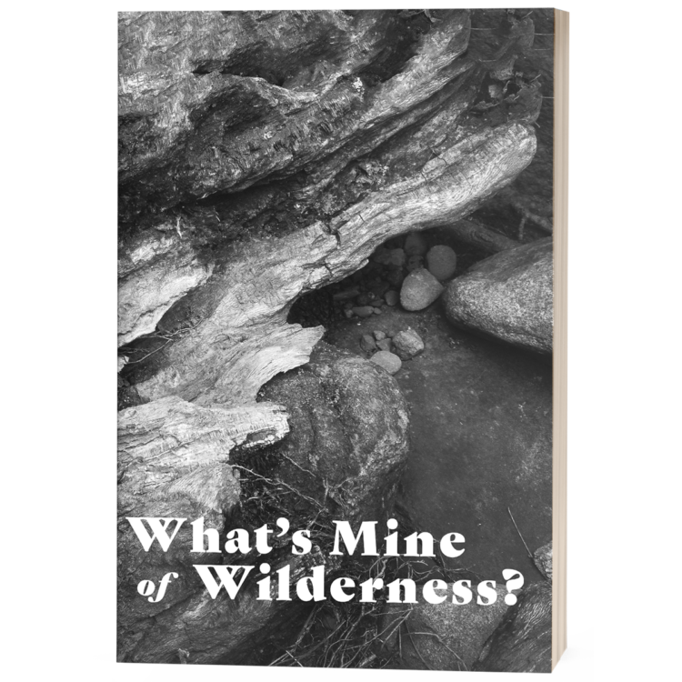 <b>What's Mine of Wilderness?</b>