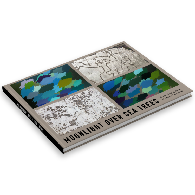 <b>Moonlight Over Sea Trees</b>